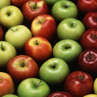 Apple growers to benefit from new nitrogen generators