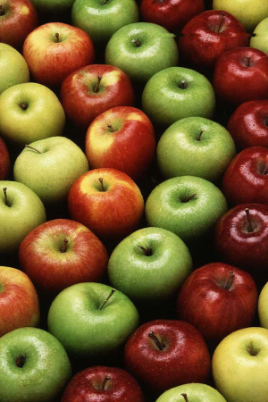 Apple growers to benefit from new nitrogen generators