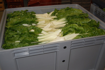 JANNY MT Control Atmosphere Bins
