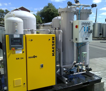 Nitrogen Generator PSA